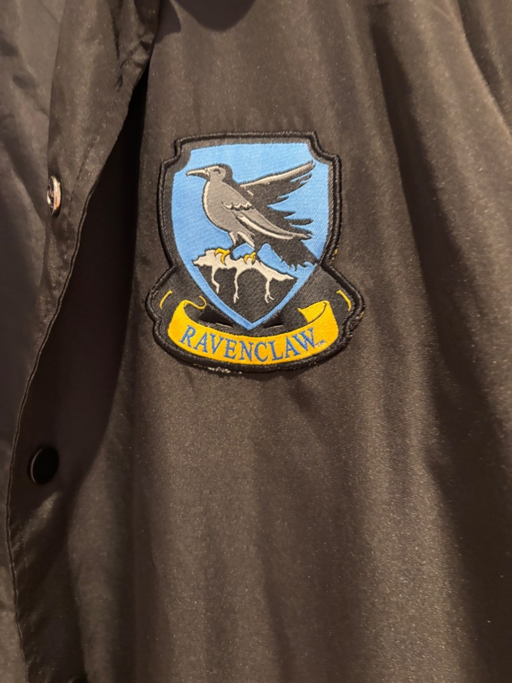 Spring/Fall Harry Potter jacket - Picture 3 of 6